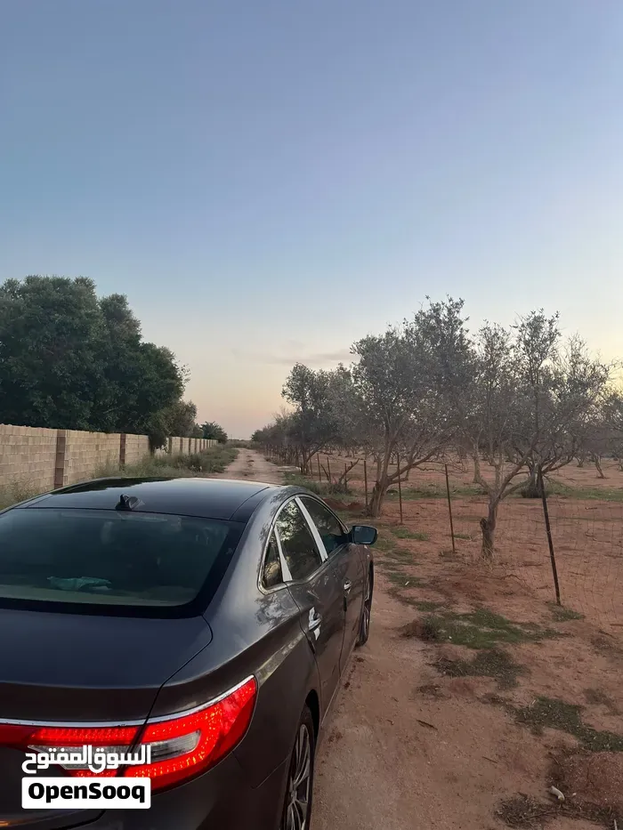 Hyundai Azera 2016 photo 4