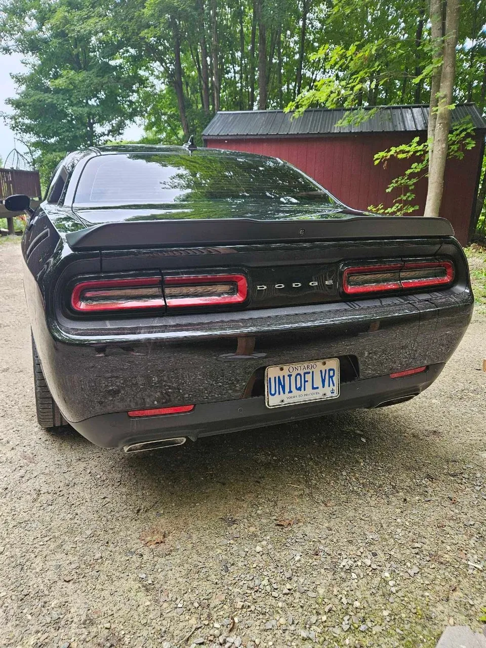 Dodge Challenger 2022 photo 2