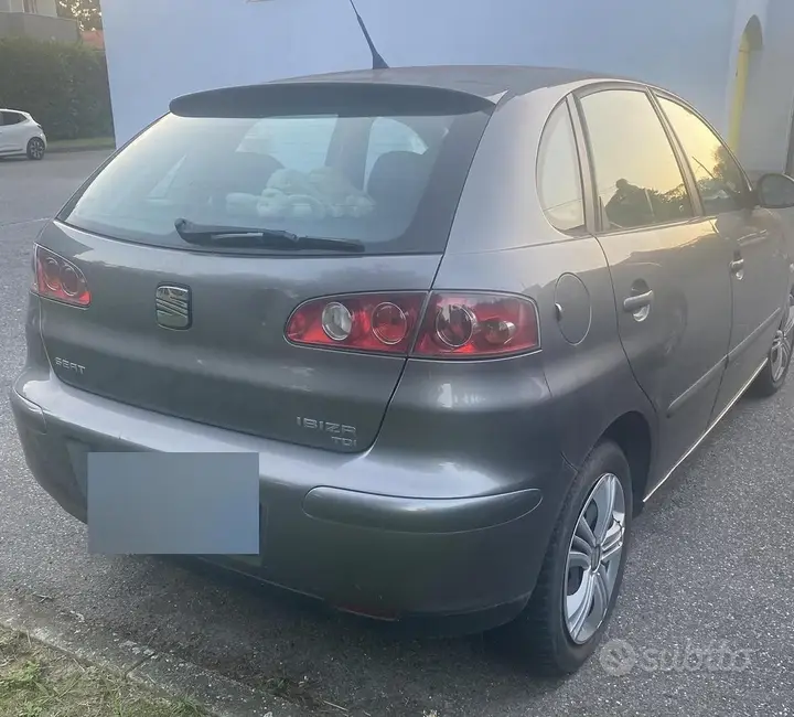 Seat Ibiza 2005 photo 5