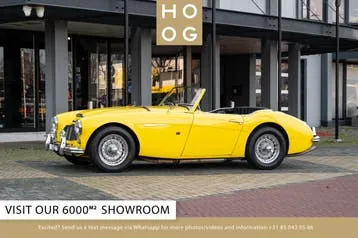 Austin Healey 100 6