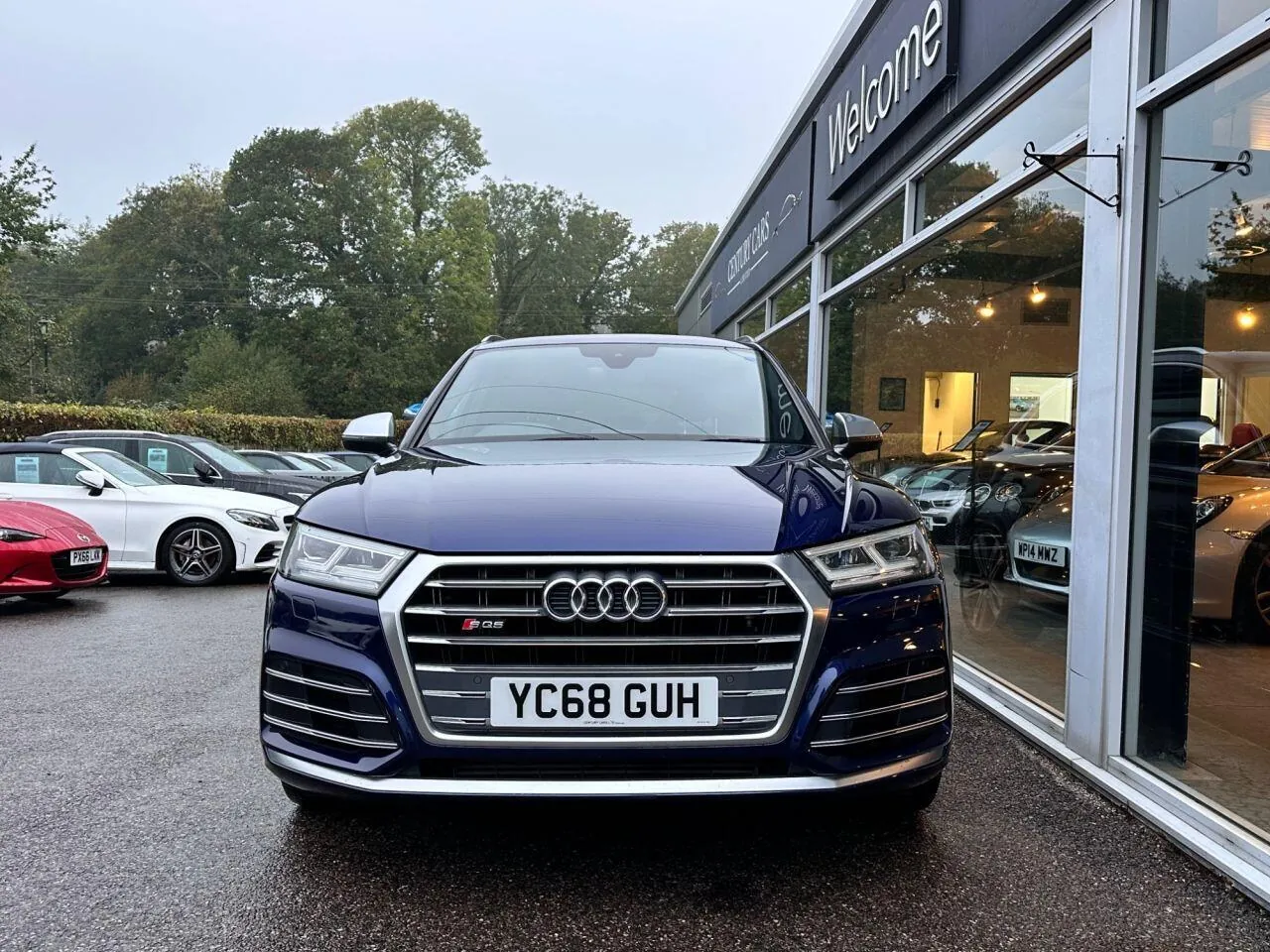 Audi Sq5 2018 photo 2