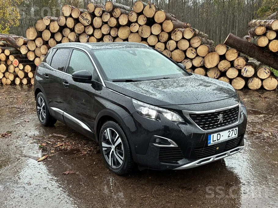 Peugeot 3008 2019 photo 3