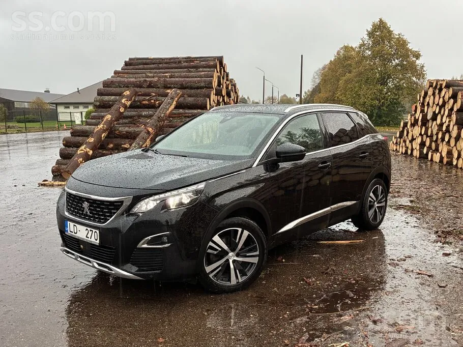 Peugeot 3008 2019 photo 2