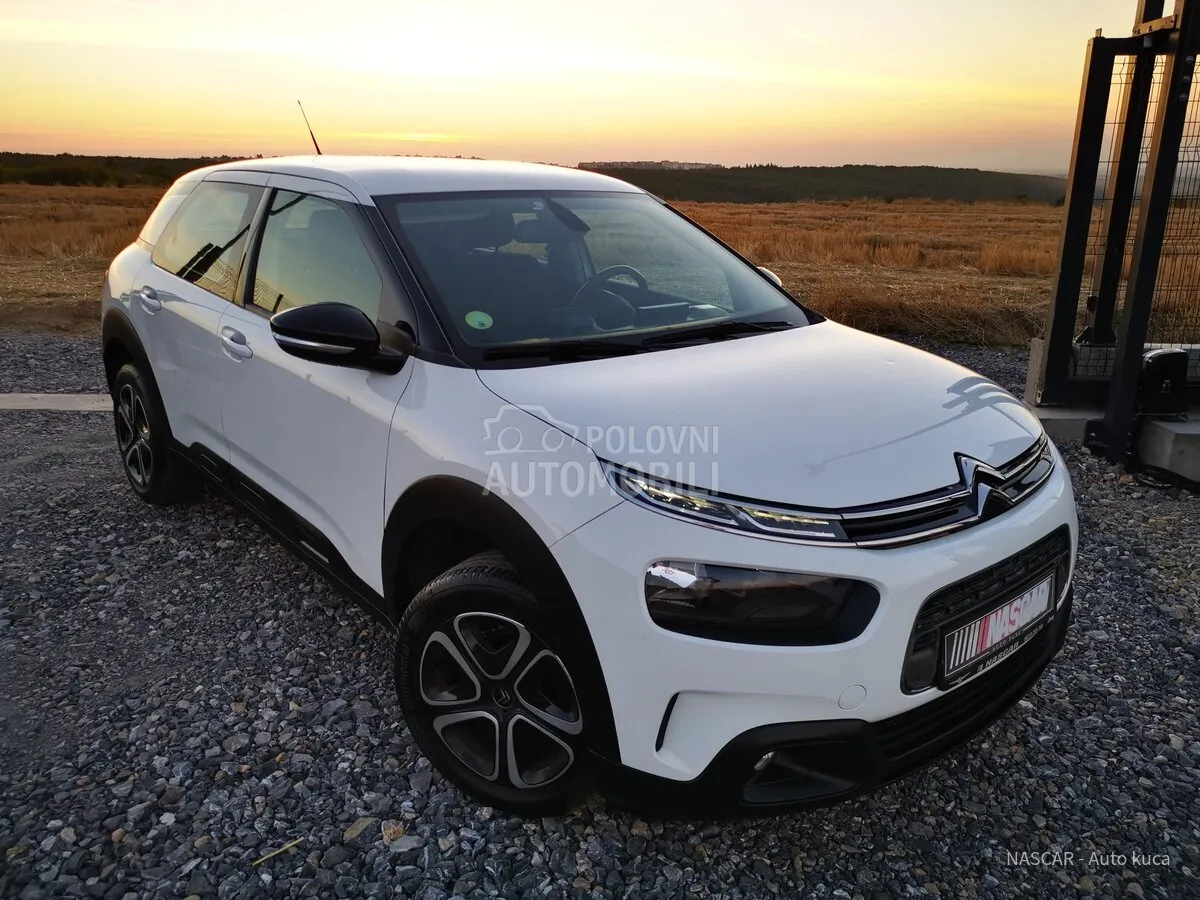 Citroen C4 Cactus 2020 photo 4