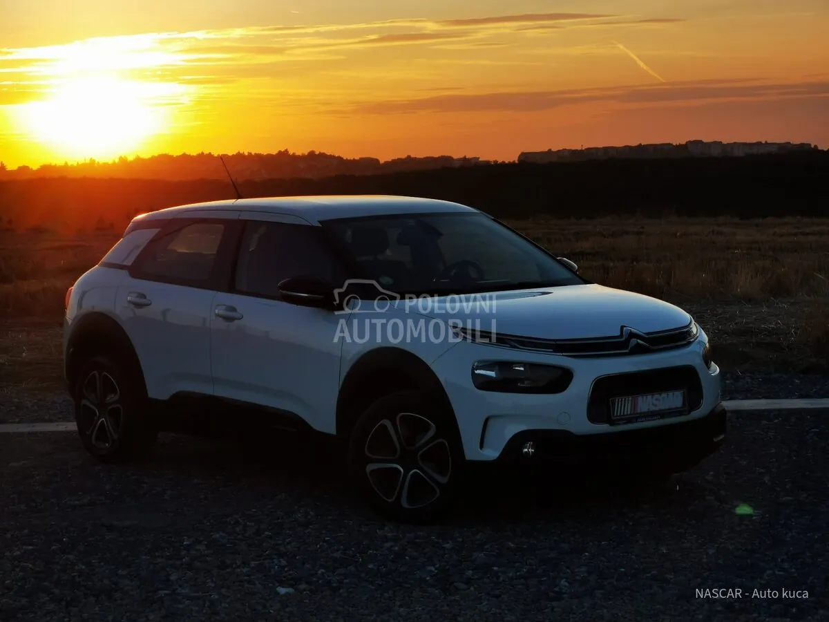 Citroen C4 Cactus 2020 photo 3