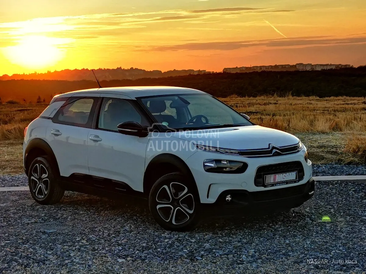Citroen C4 Cactus 2020 photo 2
