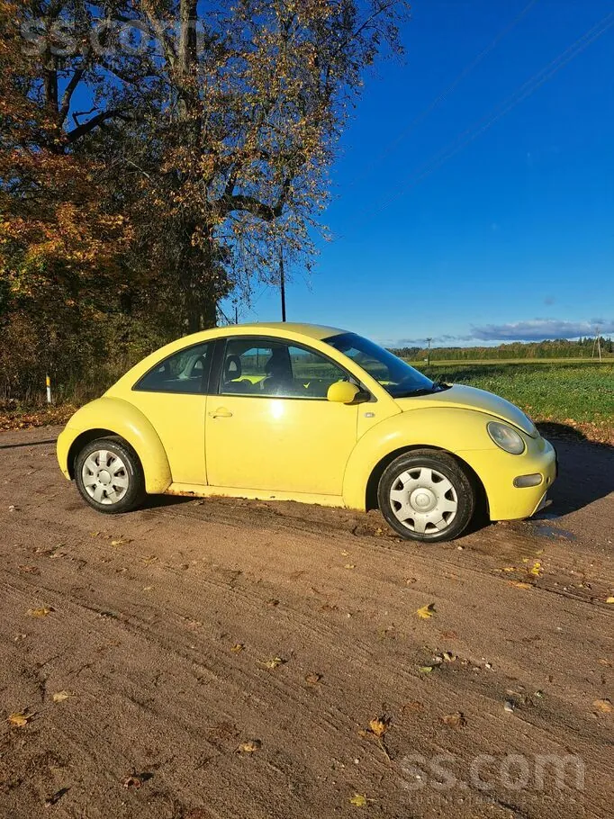 Volkswagen Beetle