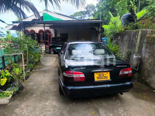 Toyota Corolla 2000 photo 4