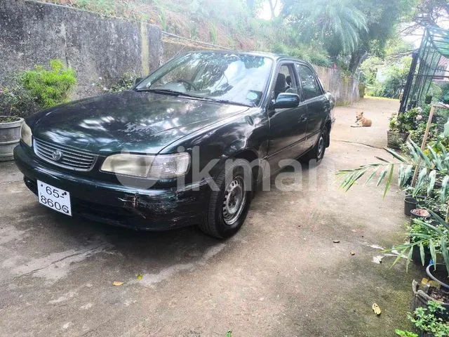 Toyota Corolla 2000 photo 3