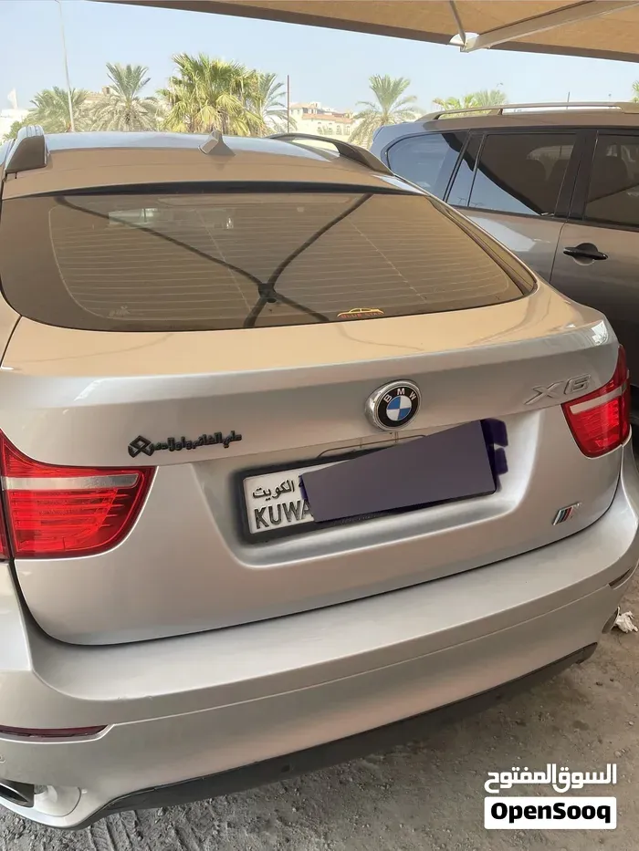 BMW X6