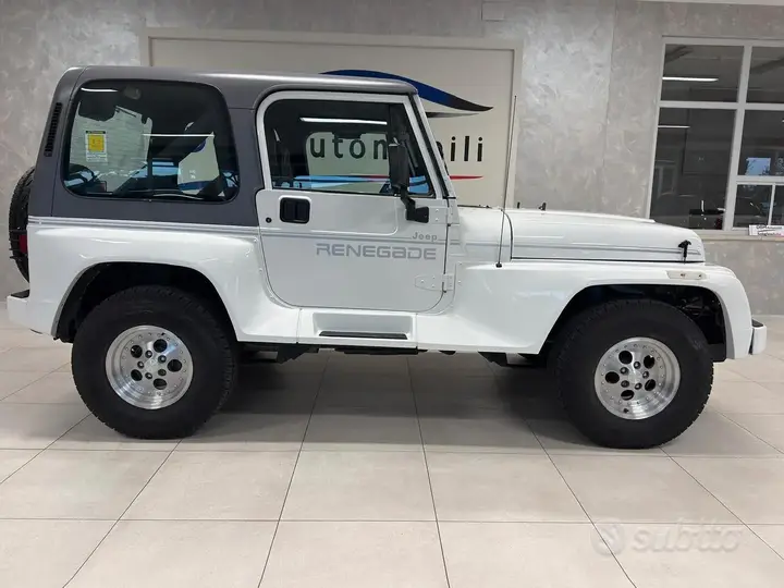 Jeep Wrangler 1994 photo 5