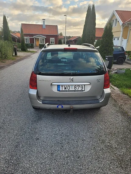 Peugeot 307 2006 photo 3