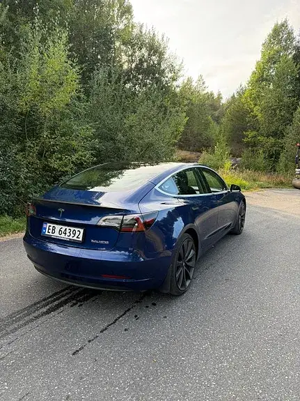 Tesla Model 3 2020 photo 3