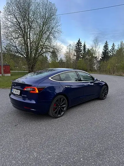 Tesla Model 3 2020 photo 2