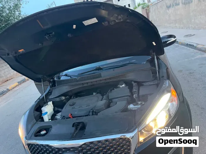 Kia Sorento 2017 photo 4