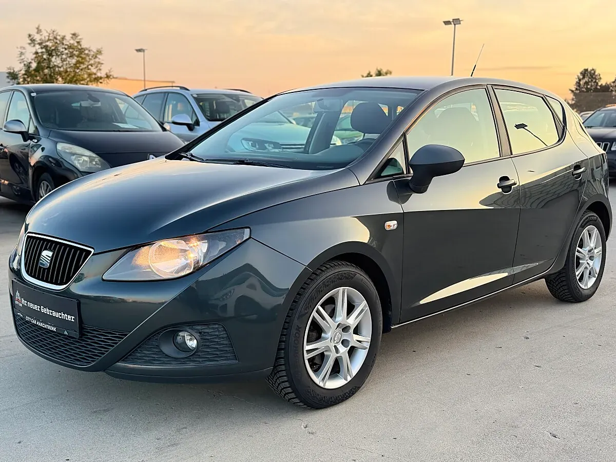 Seat Ibiza 2009 photo 2