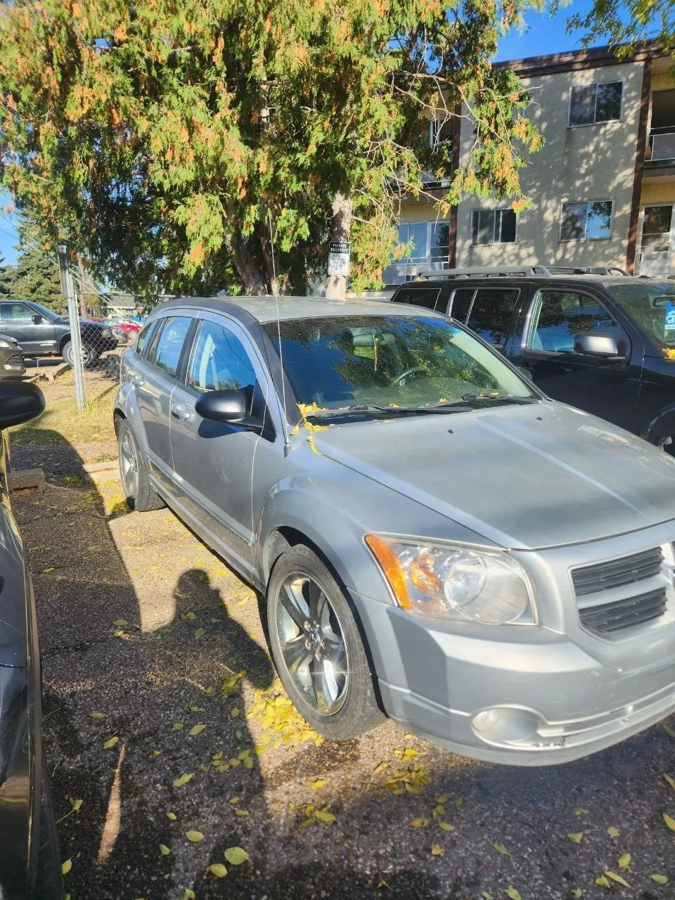 Dodge Caliber 2010 photo 2