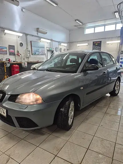 Seat Ibiza 2006 photo 2