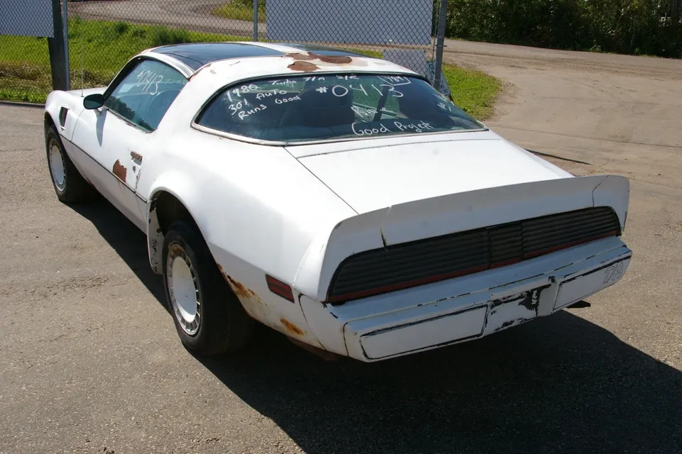 Pontiac Trans Am 1980 photo 5