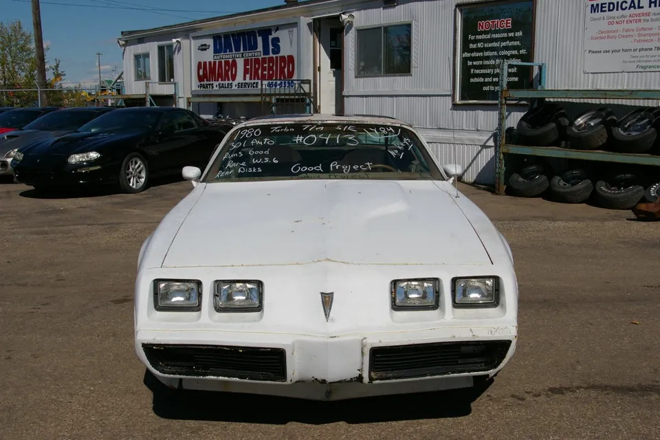 Pontiac Trans Am 1980 photo 2