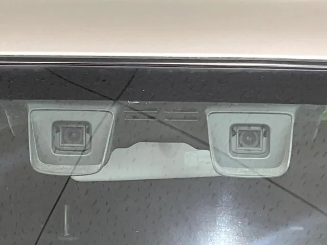 Suzuki Hauser 2018 photo 3