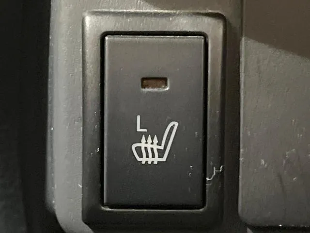 Suzuki Hauser 2018 photo 5