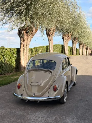 Volkswagen Kever