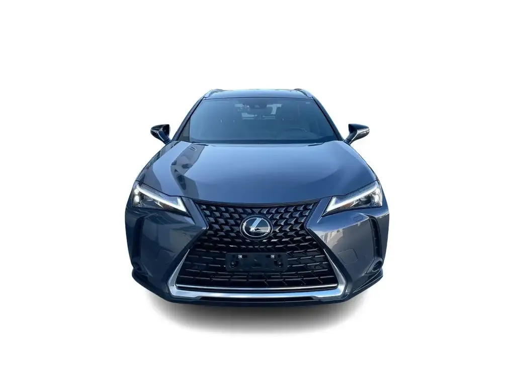 Lexus Ux 2024 photo 4
