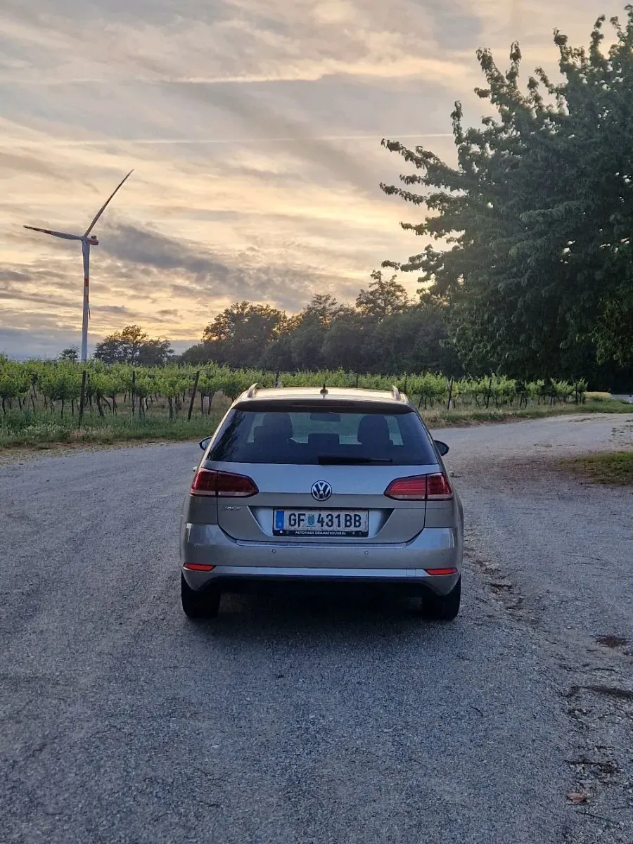 Volkswagen Golf 2019 photo 3