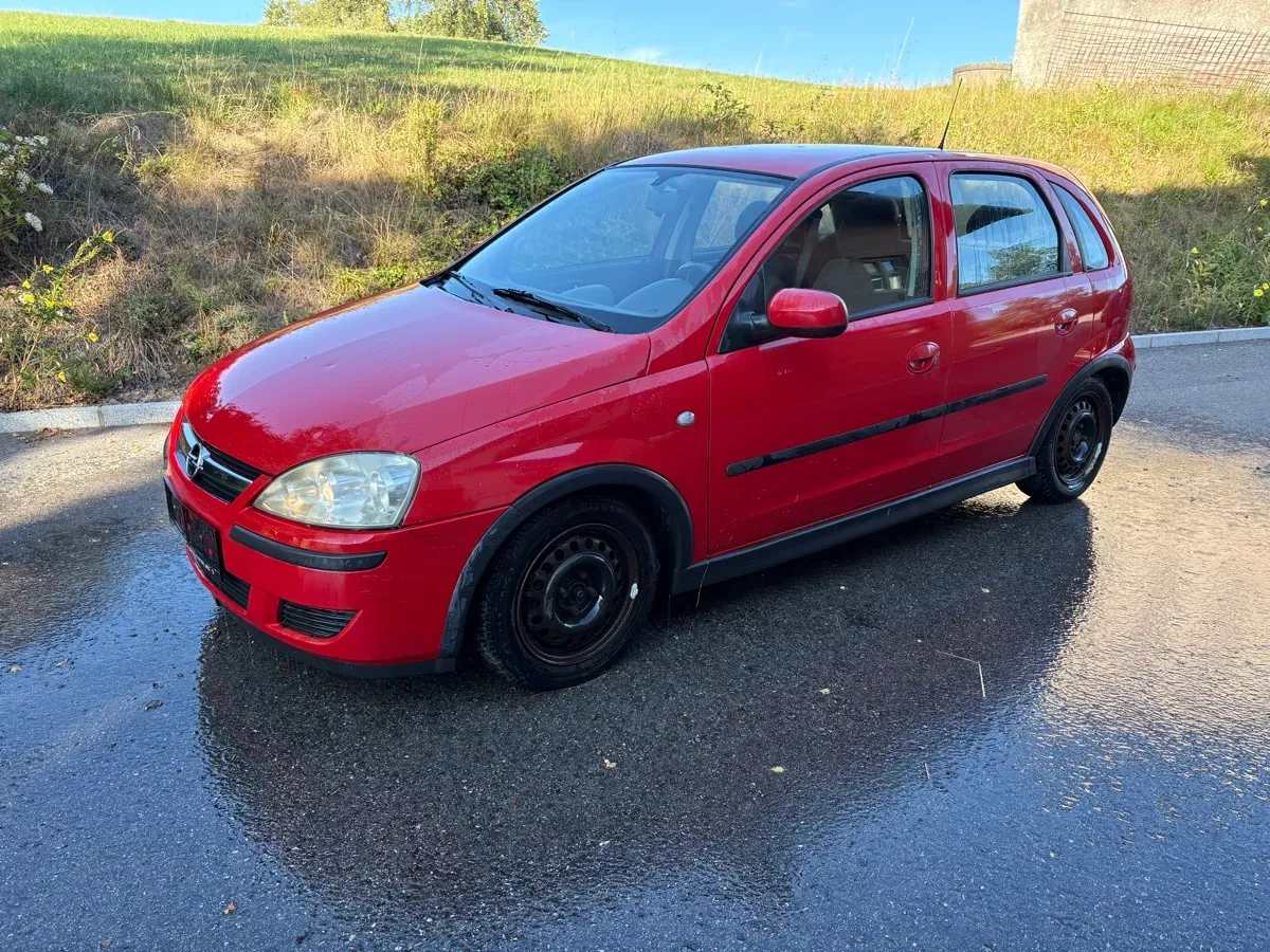 Opel Signum 2003 photo 2