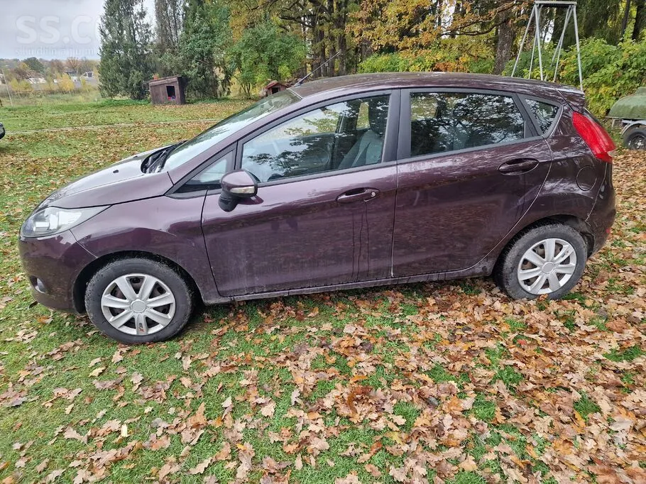 Ford Fiesta 2010 photo 2