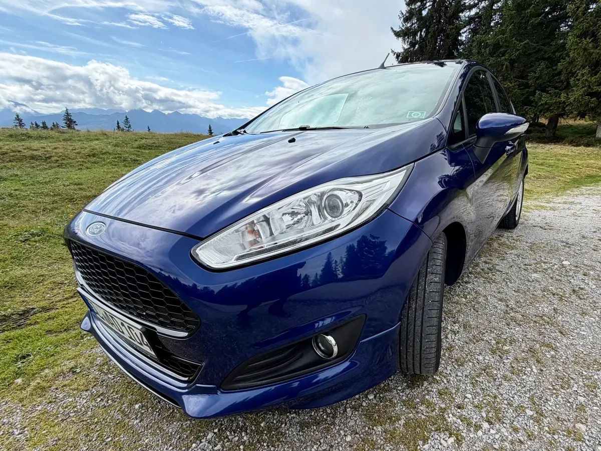 Ford Fiesta 2015 photo 3