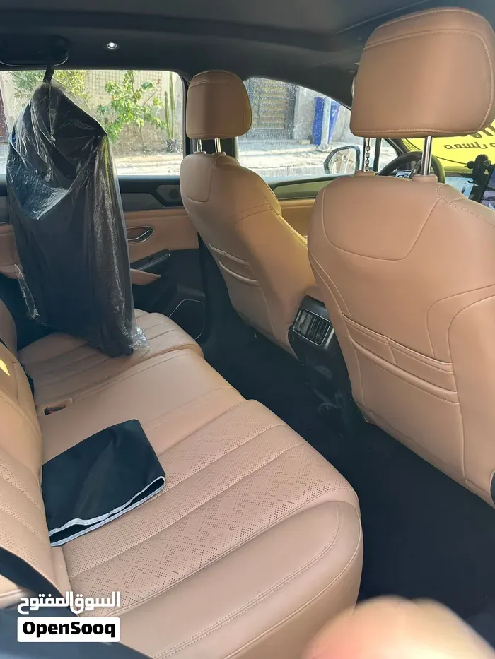 BYD Song L 2025 photo 4