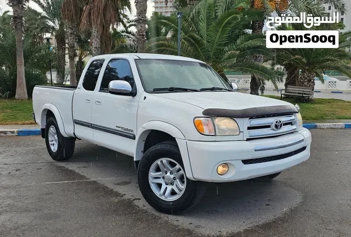 Toyota Tundra 2004 photo 3