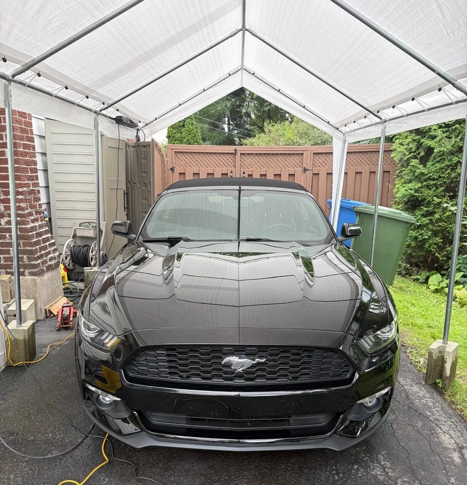 Ford Mustang 2015 photo 3
