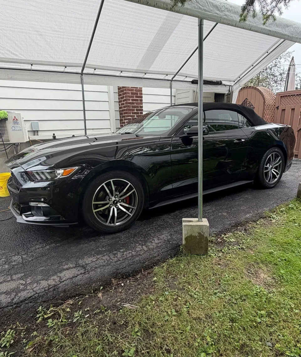 Ford Mustang 2015 photo 2