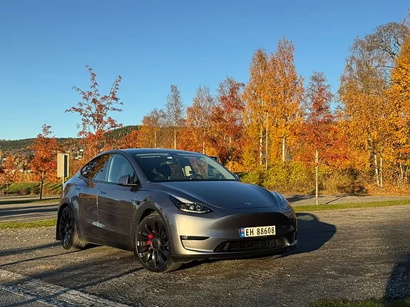 Tesla Model Y 2024 photo 5