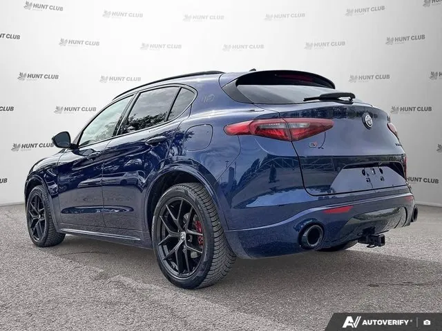 Alfa Romeo Stelvio 2020 photo 4