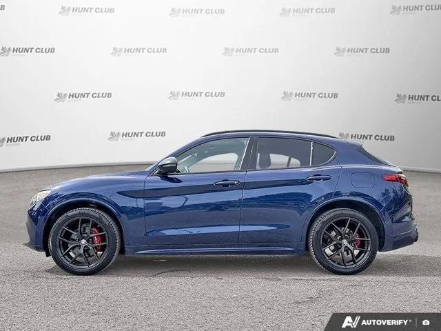 Alfa Romeo Stelvio 2020 photo 3
