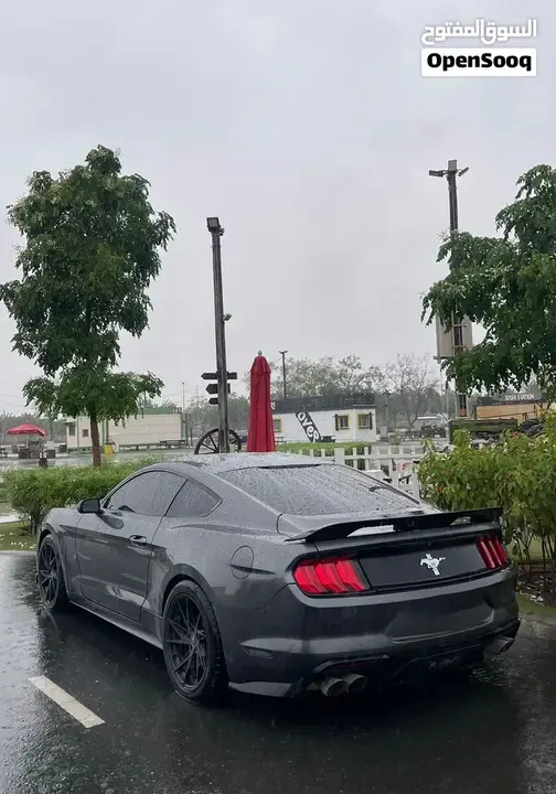 Ford Mustang 2016 photo 4