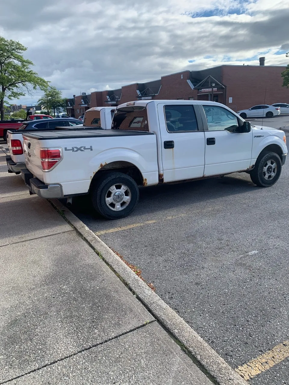 Ford F-150 2010 photo 3
