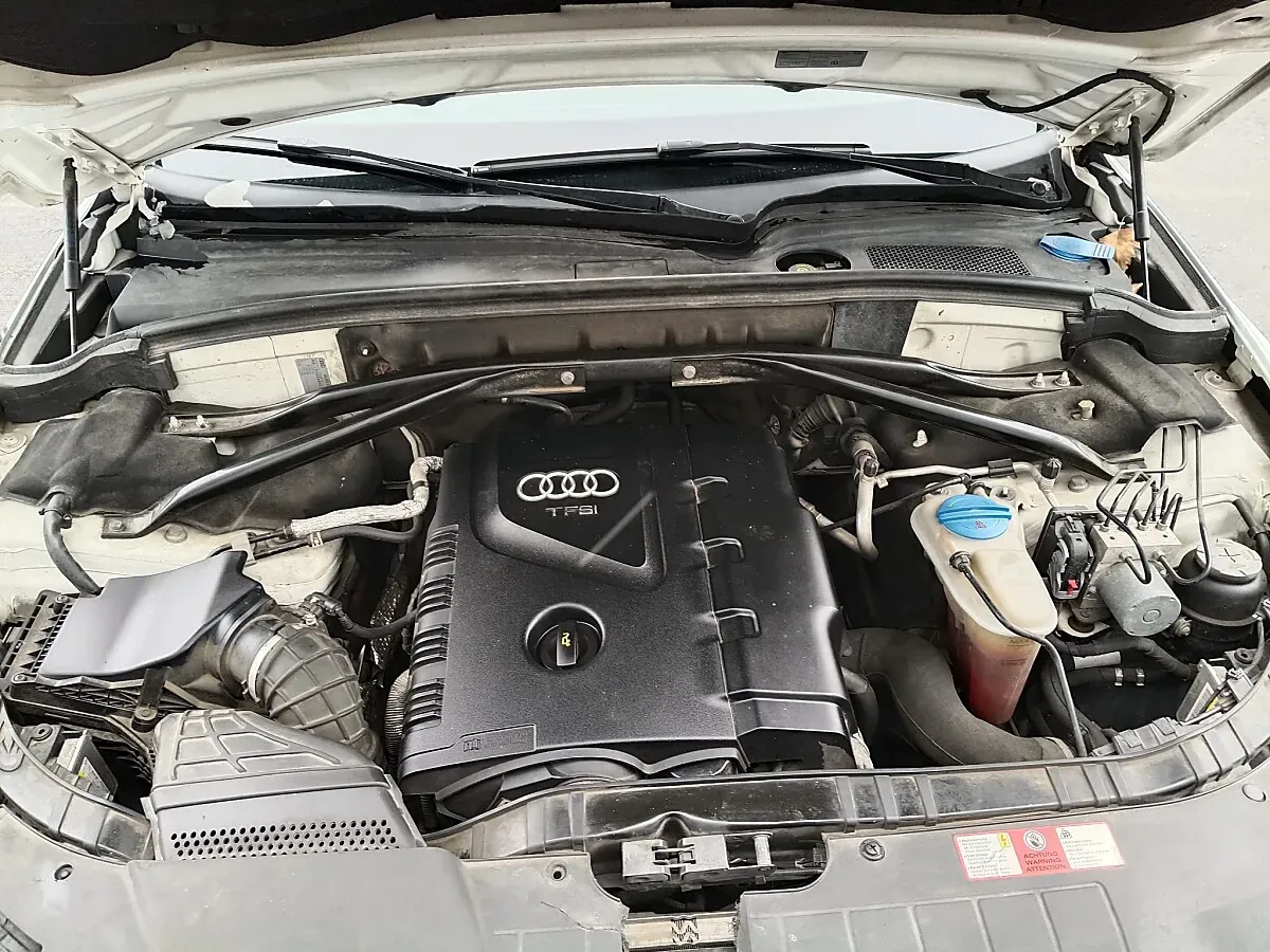 Audi Q5 2009 photo 3