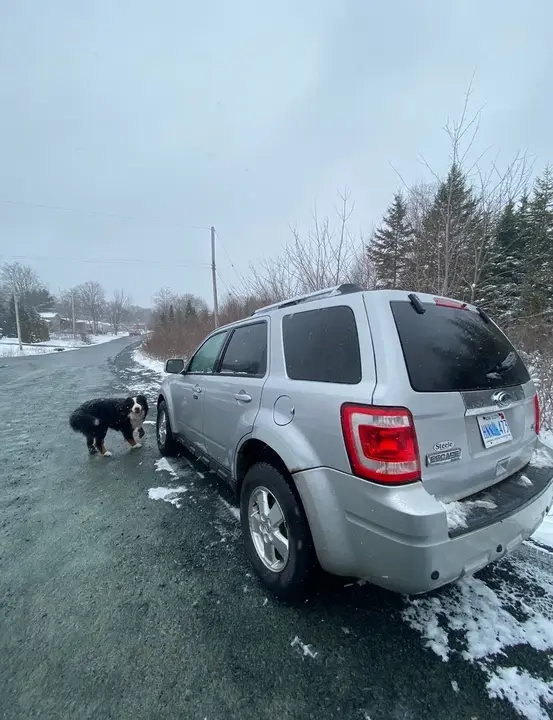 Ford Escape 2011 photo 3