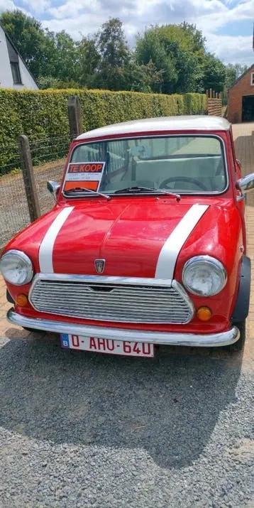 Rover Mini