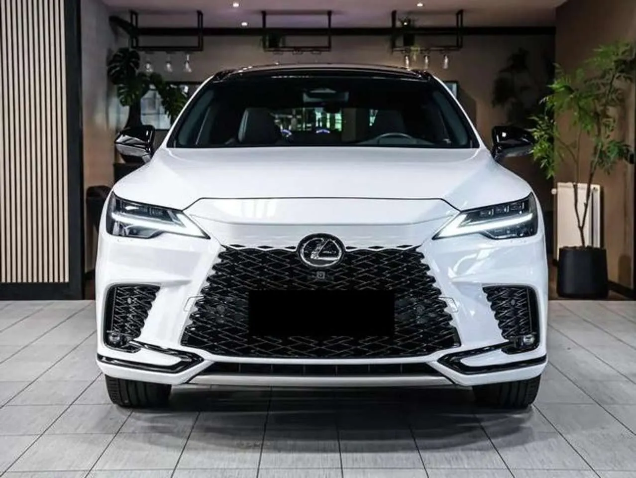 Lexus Rx 500H 2024 photo 3