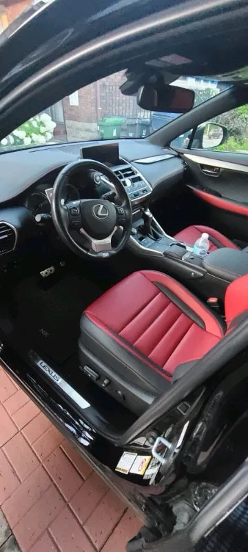 Lexus Nx300 2019 photo 2