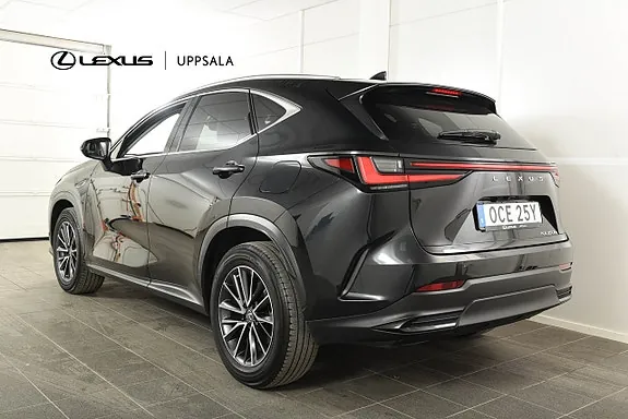 Lexus Nx450H+ 2023 photo 2
