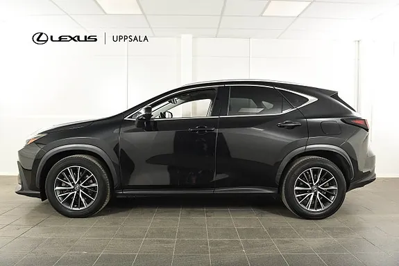 Lexus Nx450H+ 2023 photo 3