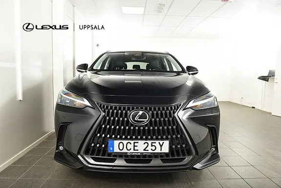Lexus Nx450H+ 2023 photo 5