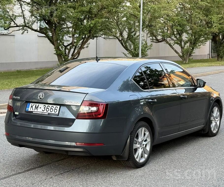 Skoda Octavia 2017 photo 5